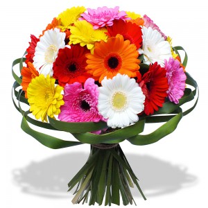 fleuriste VALBONNE, livraison fleurs VALBONNE, fleurs VALBONNE, livraison fleurs VALBONNE